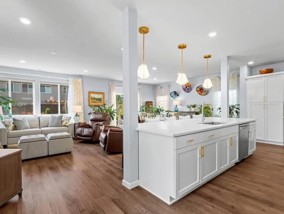 Kitchen island and living area